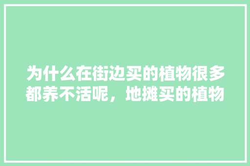 为什么在街边买的植物很多都养不活呢，地摊买的植物怎么养护呢视频。  第1张 为什么在街边买的植物很多都养不活呢，地摊买的植物怎么养护呢视频。 植物栽培