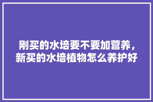 刚买的水培要不要加营养，新买的水培植物怎么养护好。