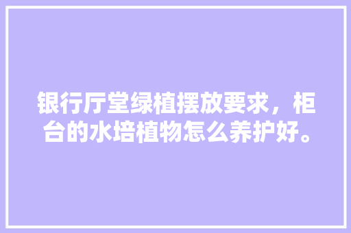银行厅堂绿植摆放要求，柜台的水培植物怎么养护好。