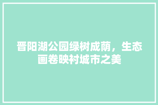 晋阳湖公园绿树成荫，生态画卷映衬城市之美 观叶植物