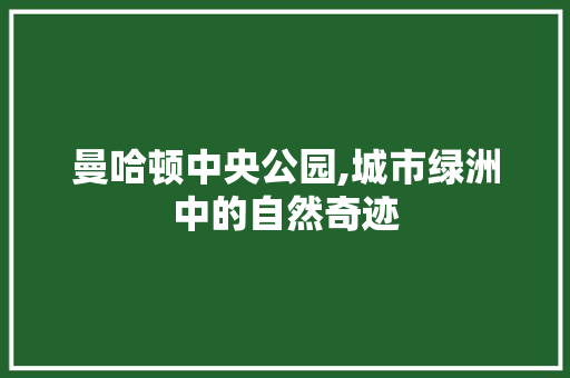 曼哈顿中央公园,城市绿洲中的自然奇迹