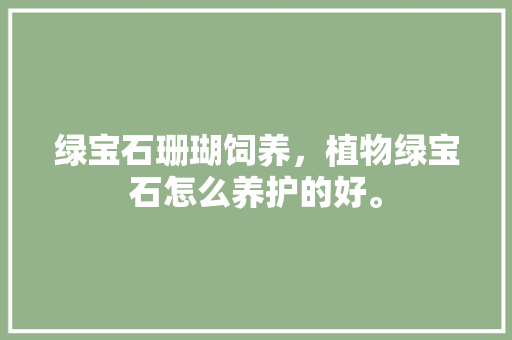 绿宝石珊瑚饲养，植物绿宝石怎么养护的好。