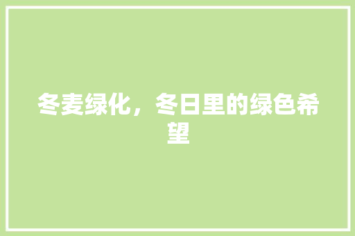 冬麦绿化，冬日里的绿色希望