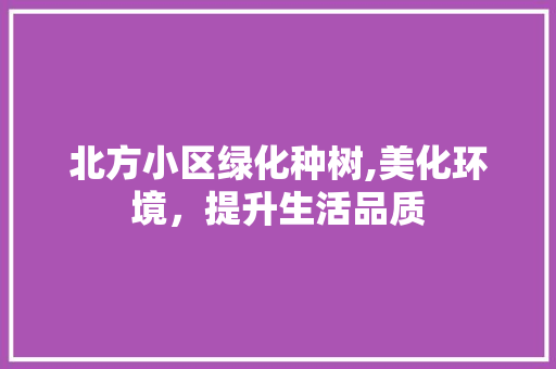 北方小区绿化种树,美化环境，提升生活品质