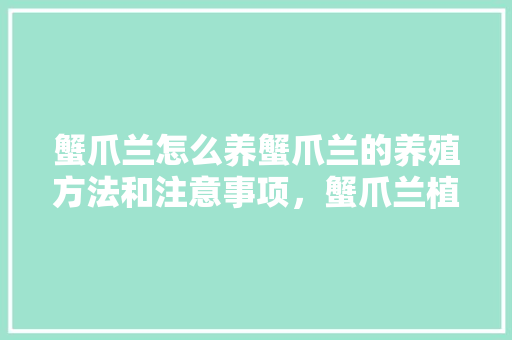 蟹爪兰怎么养蟹爪兰的养殖方法和注意事项，蟹爪兰植物的养护与管理方法。