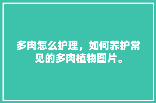多肉怎么护理，如何养护常见的多肉植物图片。  第1张 多肉怎么护理，如何养护常见的多肉植物图片。 土壤选择