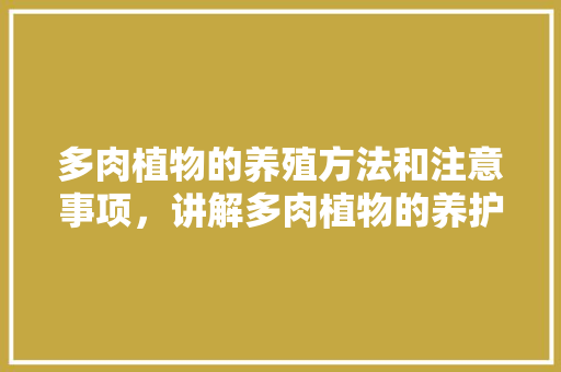多肉植物的养殖方法和注意事项，讲解多肉植物的养护方法视频。  第1张 多肉植物的养殖方法和注意事项，讲解多肉植物的养护方法视频。 灌溉技术