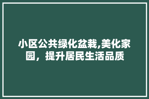 小区公共绿化盆栽,美化家园，提升居民生活品质