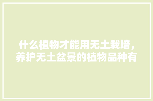 什么植物才能用无土栽培，养护无土盆景的植物品种有哪些。