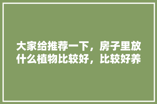 大家给推荐一下，房子里放什么植物比较好，比较好养活的那种，便宜又好养护的植物品种有哪些。