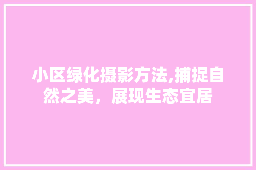 小区绿化摄影方法,捕捉自然之美，展现生态宜居