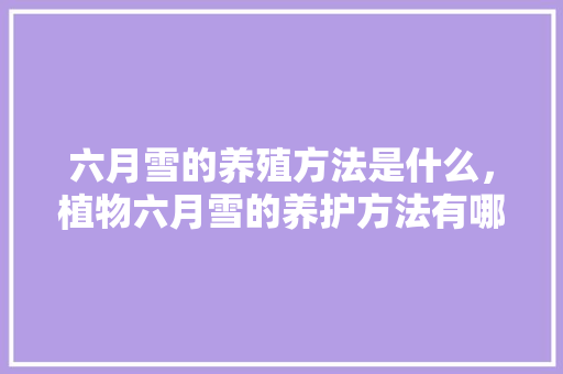 六月雪的养殖方法是什么，植物六月雪的养护方法有哪些。