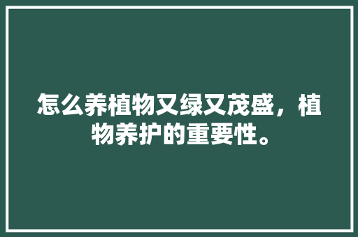 怎么养植物又绿又茂盛，植物养护的重要性。  第1张 怎么养植物又绿又茂盛，植物养护的重要性。 爬藤植物
