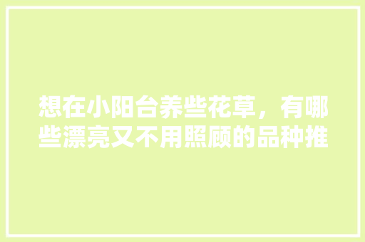 想在小阳台养些花草，有哪些漂亮又不用照顾的品种推荐，阳台养护的植物图片真实大全。