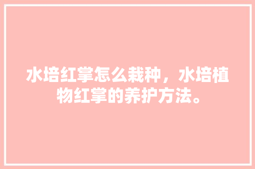 水培红掌怎么栽种，水培植物红掌的养护方法。