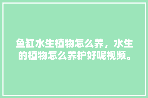 鱼缸水生植物怎么养，水生的植物怎么养护好呢视频。