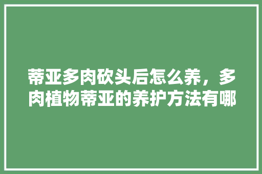 蒂亚多肉砍头后怎么养，多肉植物蒂亚的养护方法有哪些。