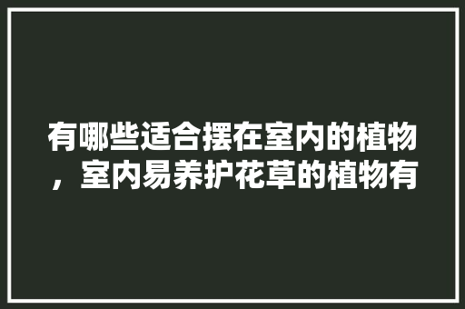 有哪些适合摆在室内的植物，室内易养护花草的植物有哪些。