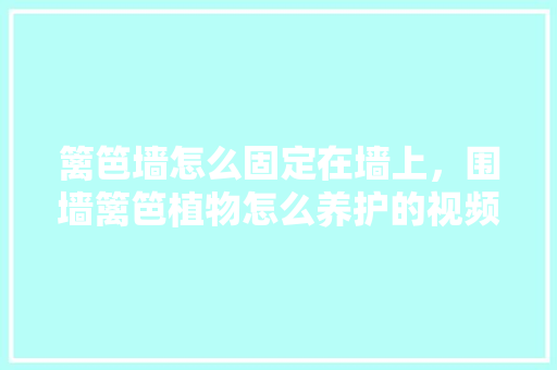 篱笆墙怎么固定在墙上，围墙篱笆植物怎么养护的视频。  第1张 篱笆墙怎么固定在墙上，围墙篱笆植物怎么养护的视频。 植物养护