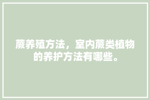 蕨养殖方法，室内蕨类植物的养护方法有哪些。
