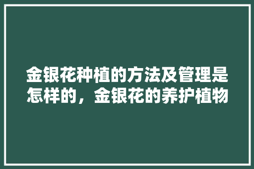 金银花种植的方法及管理是怎样的，金银花的养护植物有哪些图片。