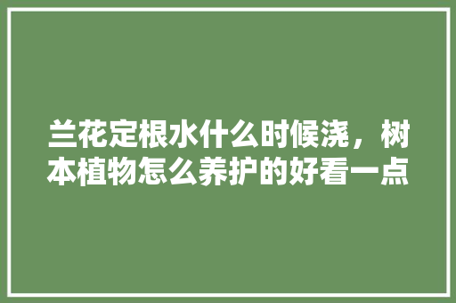 兰花定根水什么时候浇，树本植物怎么养护的好看一点。