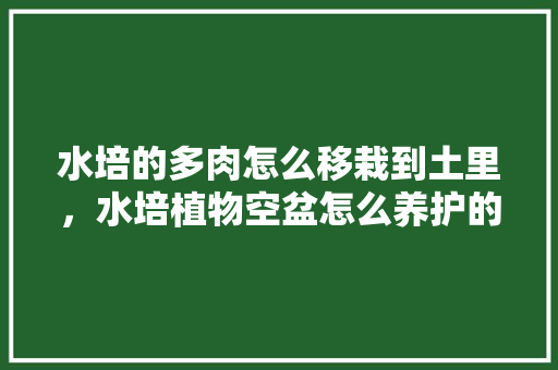 水培的多肉怎么移栽到土里，水培植物空盆怎么养护的好。  第1张 水培的多肉怎么移栽到土里，水培植物空盆怎么养护的好。 植物养护