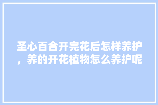 圣心百合开完花后怎样养护，养的开花植物怎么养护呢视频。