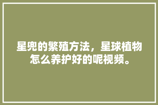 星兜的繁殖方法，星球植物怎么养护好的呢视频。