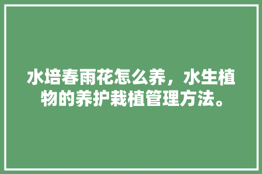 水培春雨花怎么养，水生植物的养护栽植管理方法。