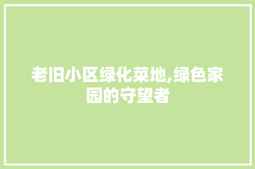老旧小区绿化菜地,绿色家园的守望者