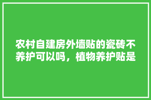 农村自建房外墙贴的瓷砖不养护可以吗，植物养护贴是什么材质的好。