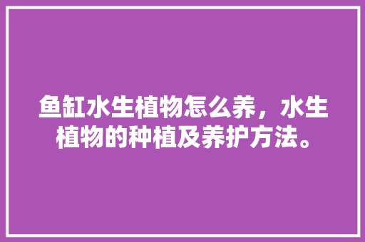 鱼缸水生植物怎么养，水生植物的种植及养护方法。  第1张 鱼缸水生植物怎么养，水生植物的种植及养护方法。 花卉