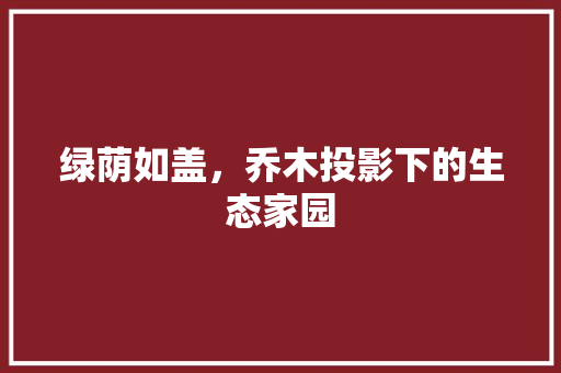 绿荫如盖，乔木投影下的生态家园