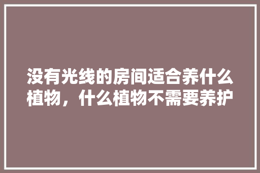 没有光线的房间适合养什么植物，什么植物不需要养护的呢图片。