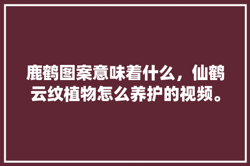 鹿鹤图案意味着什么，仙鹤云纹植物怎么养护的视频。