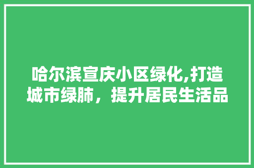 哈尔滨宣庆小区绿化,打造城市绿肺，提升居民生活品质