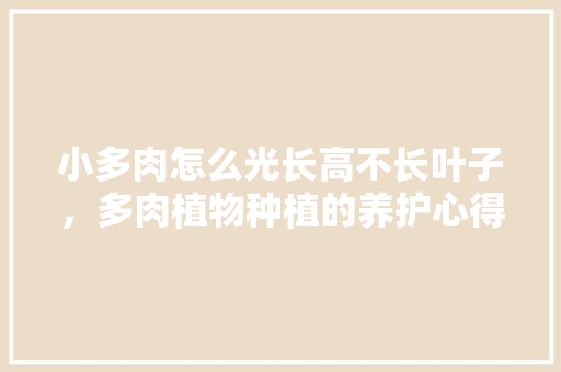 小多肉怎么光长高不长叶子，多肉植物种植的养护心得怎么写。
