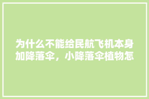 为什么不能给民航飞机本身加降落伞，小降落伞植物怎么养护的视频。
