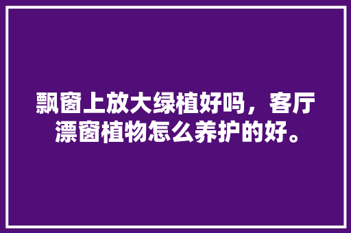 飘窗上放大绿植好吗，客厅漂窗植物怎么养护的好。