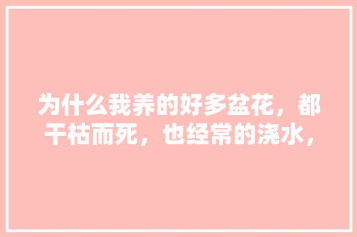 为什么我养的好多盆花，都干枯而死，也经常的浇水，怎样才能养好花，怎样养护花朵植物的方法视频。 土壤选择