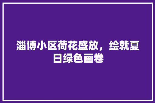 淄博小区荷花盛放，绘就夏日绿色画卷
