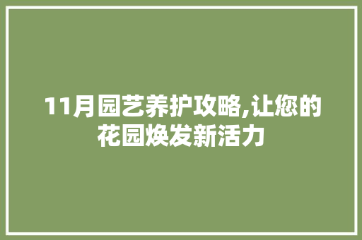 11月园艺养护攻略,让您的花园焕发新活力 修剪技巧