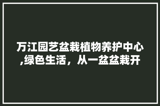 万江园艺盆栽植物养护中心,绿色生活,从一盆盆栽开始 灌溉技术 万江园艺盆栽植物养护中心,绿色生活,从一盆盆栽开始 灌溉技术