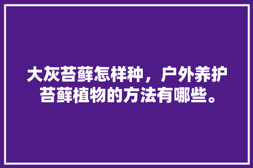 大灰苔藓怎样种，户外养护苔藓植物的方法有哪些。