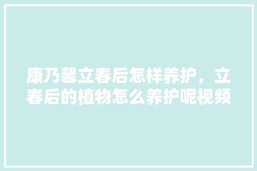 康乃馨立春后怎样养护，立春后的植物怎么养护呢视频。
