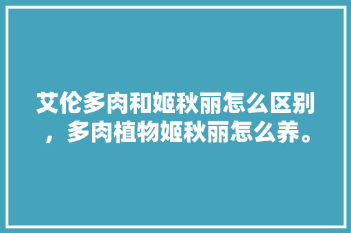 艾伦多肉和姬秋丽怎么区别，多肉植物姬秋丽怎么养。