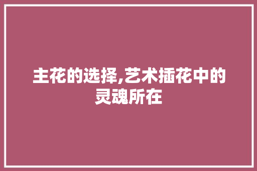 主花的选择,艺术插花中的灵魂所在