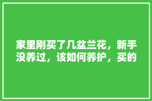 家里刚买了几盆兰花，新手没养过，该如何养护，买的新植物怎么养护好呢视频。  第1张 家里刚买了几盆兰花，新手没养过，该如何养护，买的新植物怎么养护好呢视频。 植物养护
