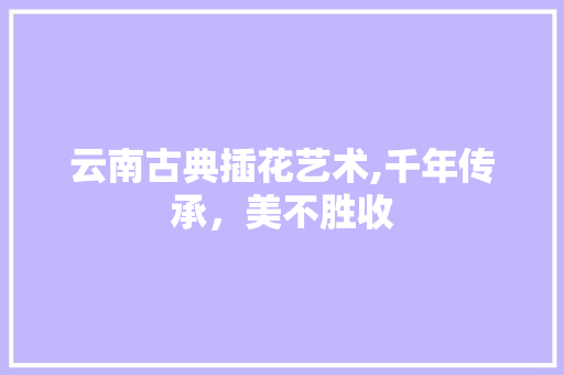 云南古典插花艺术,千年传承，美不胜收